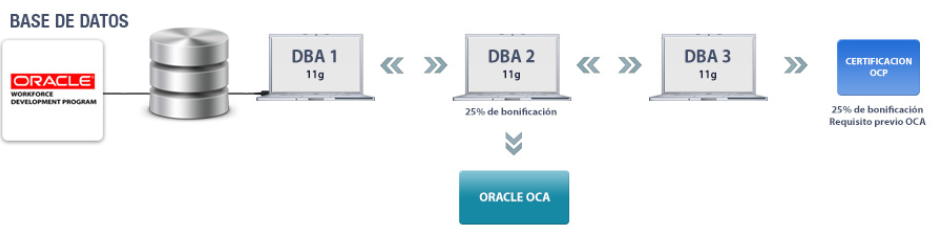 Base de Datos – Nivel Intermedio