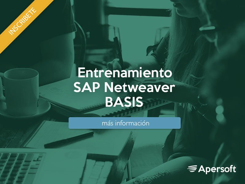 Entrenamiento SAP Basis Netweaver