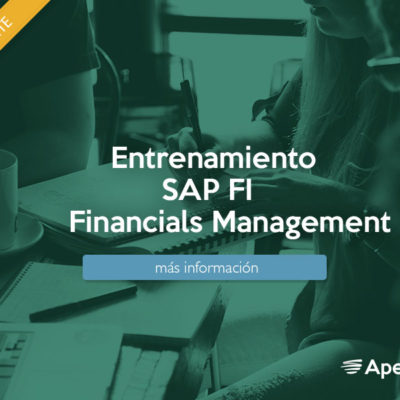 Entrenamiento SAP (FI) Financials Management