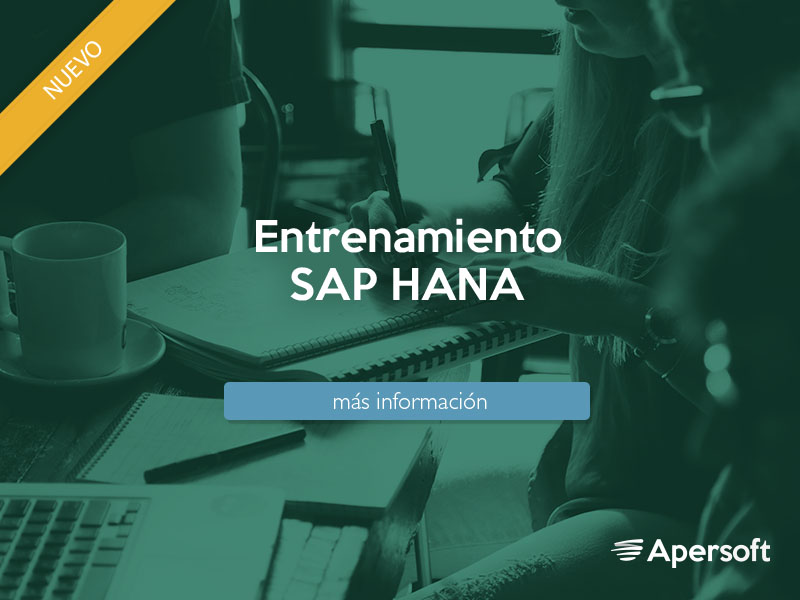 Entrenamiento SAP HANA.